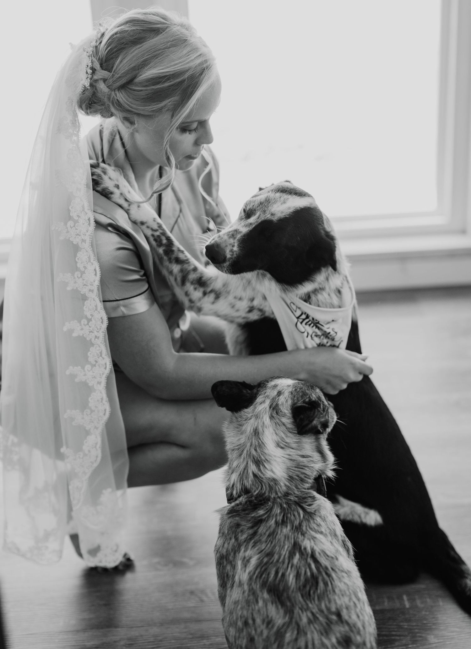 Black and white photos of a bride sharing sweet moments with a dog.