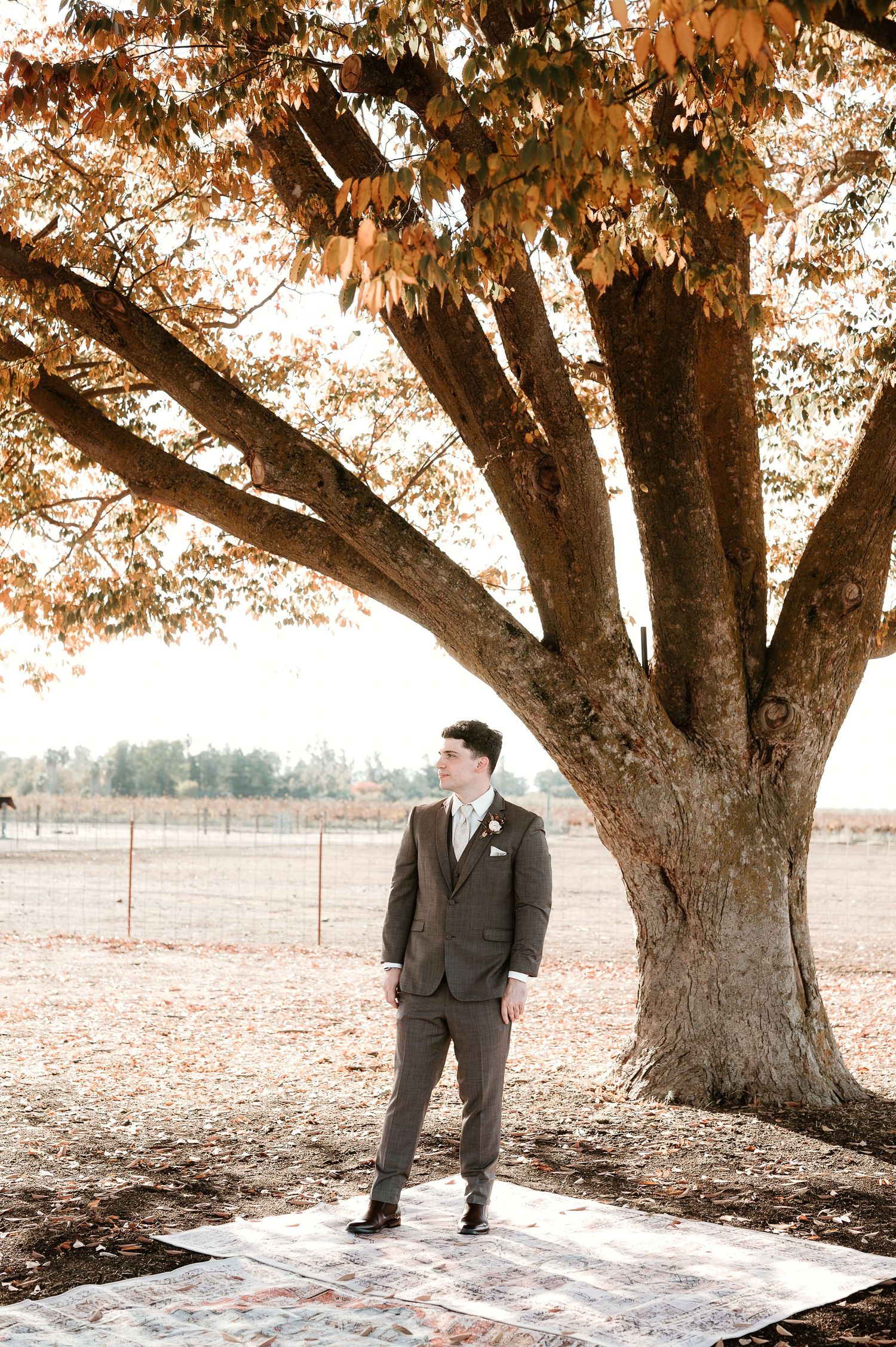 Person standing beneath a large autumn tree in formal attire on a patterned rug.