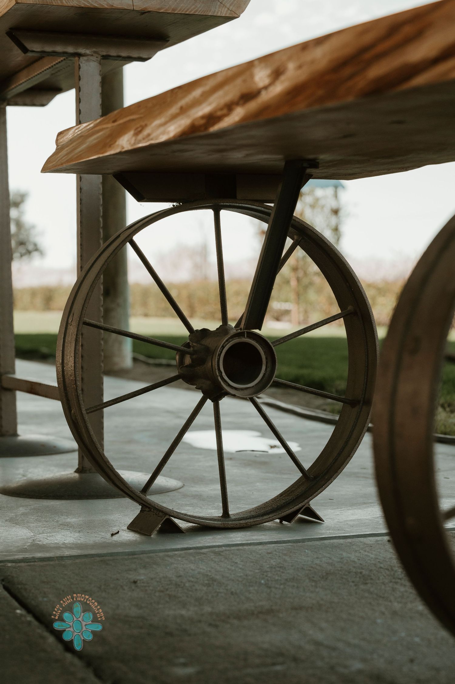 Vintage wagon wheel detail against rustic wooden structure in natural lighting.