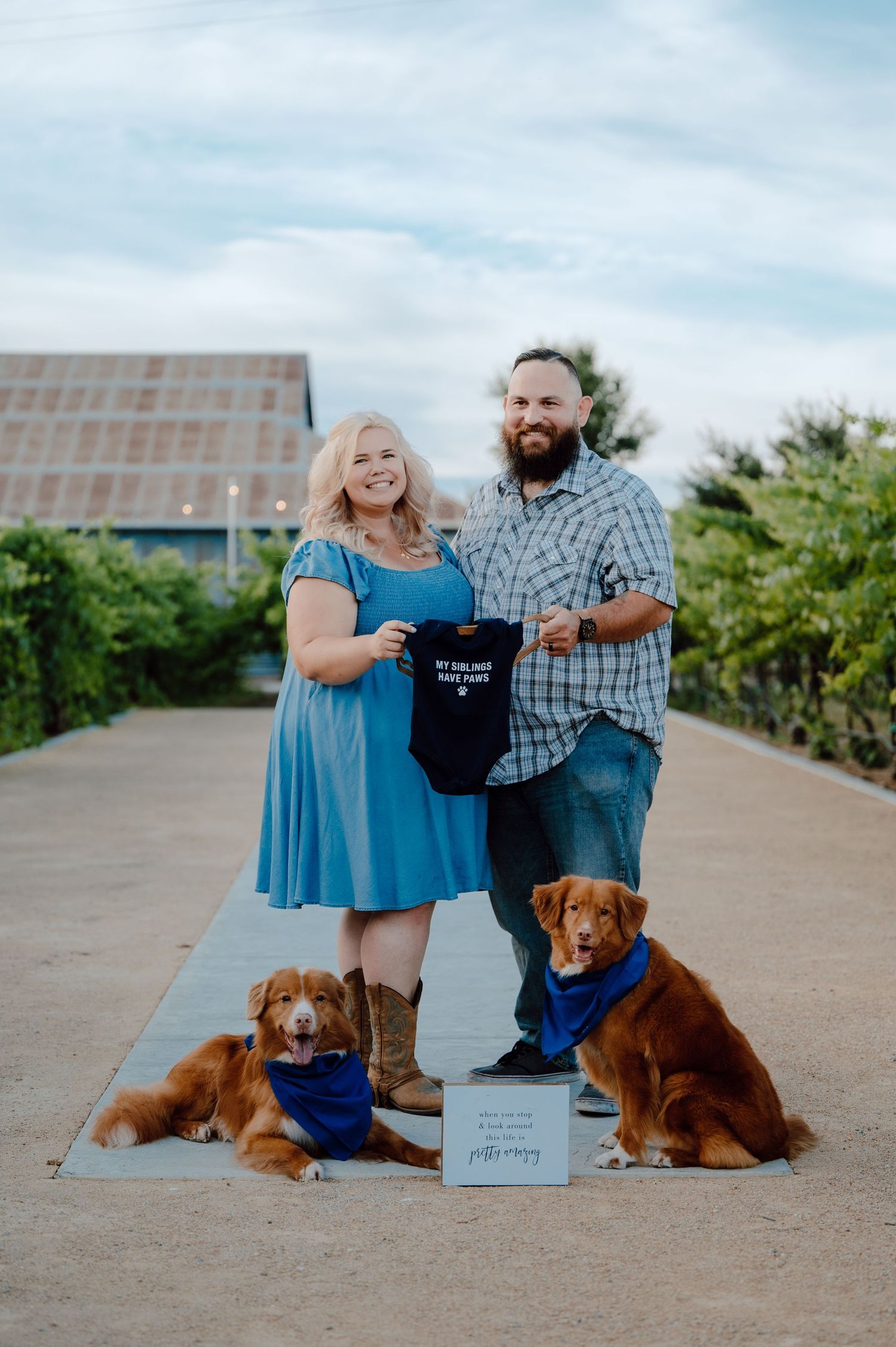 A couple holds a baby onesie while posing with their two brown dogs wearing blue bandanas on a garden path.