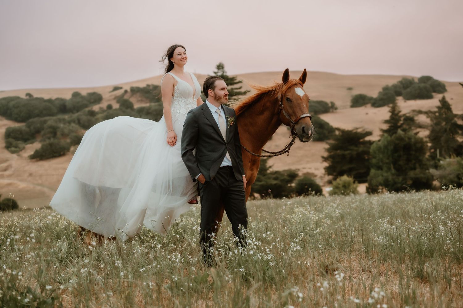 A couple walks through a meadow with their horse on a sunny day.