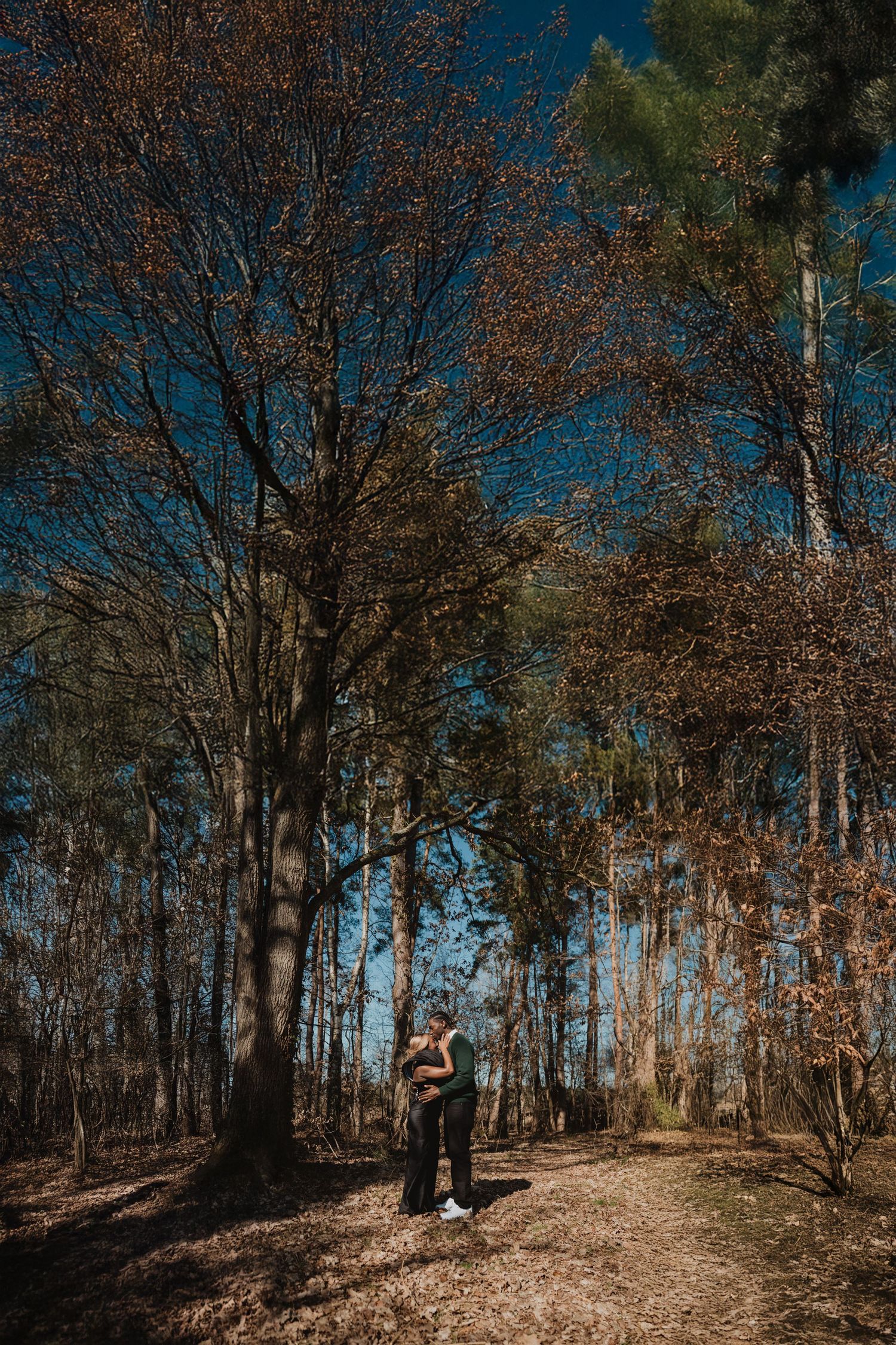Silhouette d'un couple debout sur un sentier forestier, entouré de grands arbres dénudés.