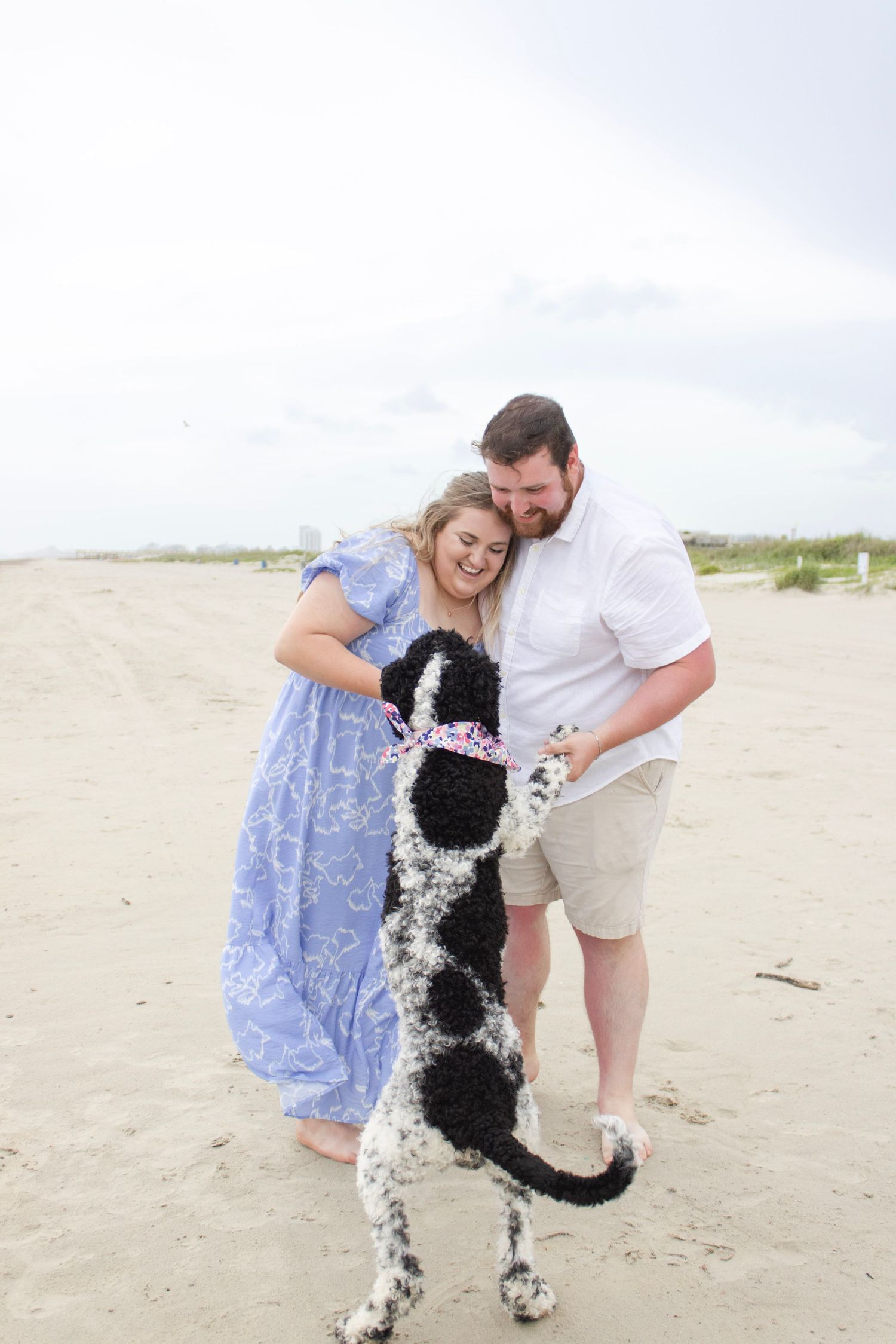Laughing couple on sandy beach with their black and white spotted dog jumping up playfully between them.
