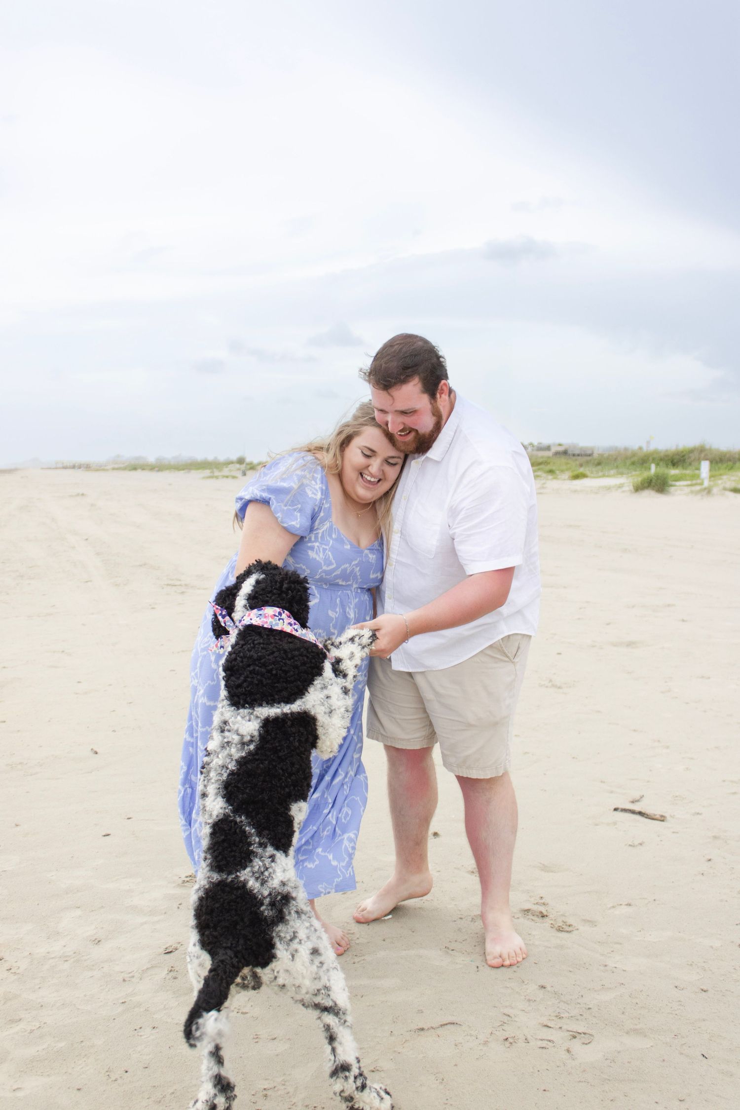 Joyful couple playing with their black and white spotted dog on a sandy beach.