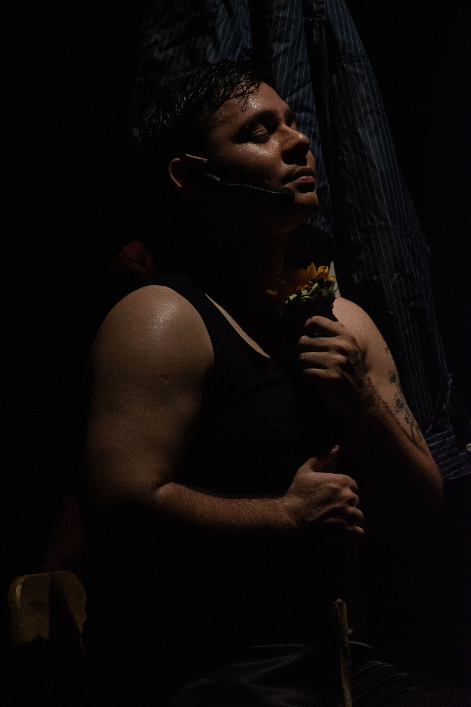Artísticos