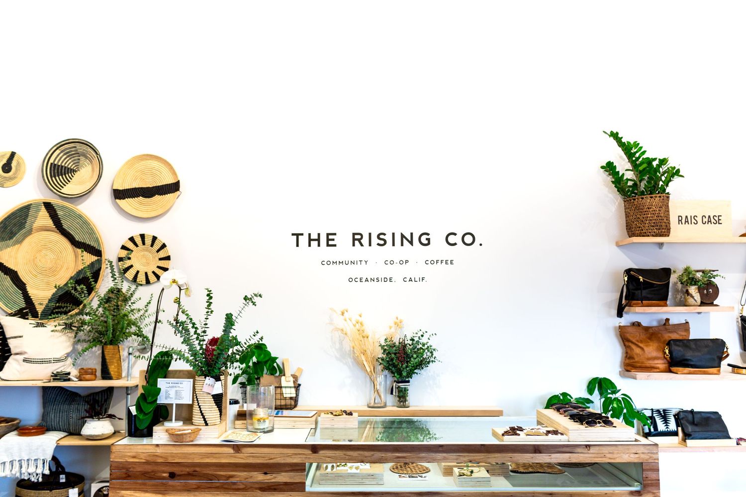 Modern minimalist retail store interior with wooden table, potted plants and wall decor displaying The Rising Co. branding.