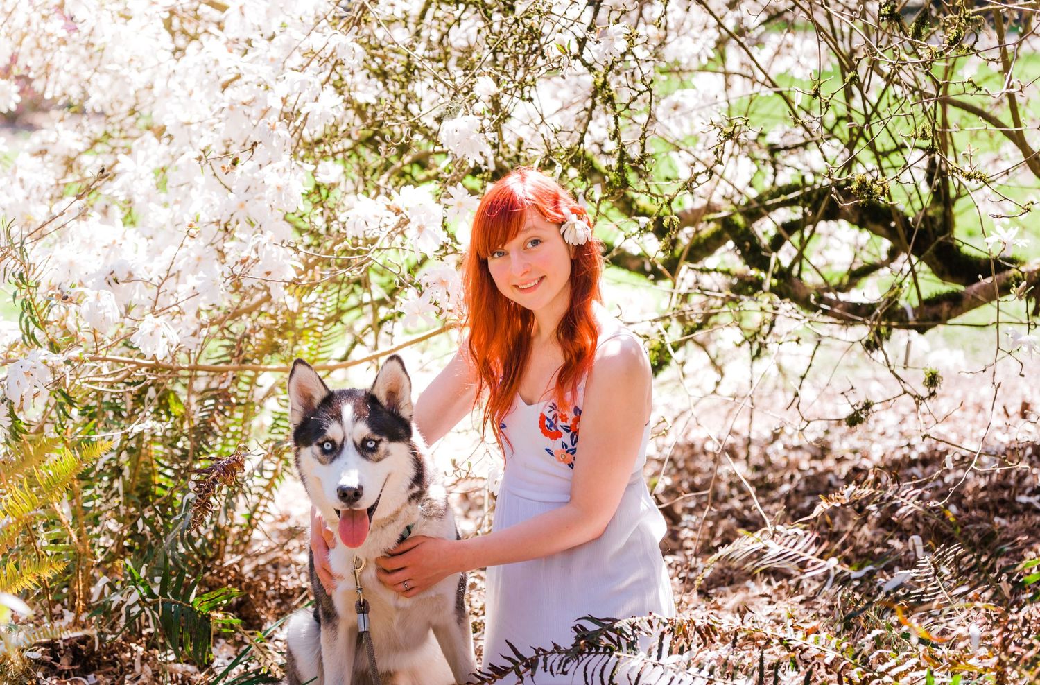 Happy dogs pose with their owner among blooming cherry blossom trees in a spring garden setting.