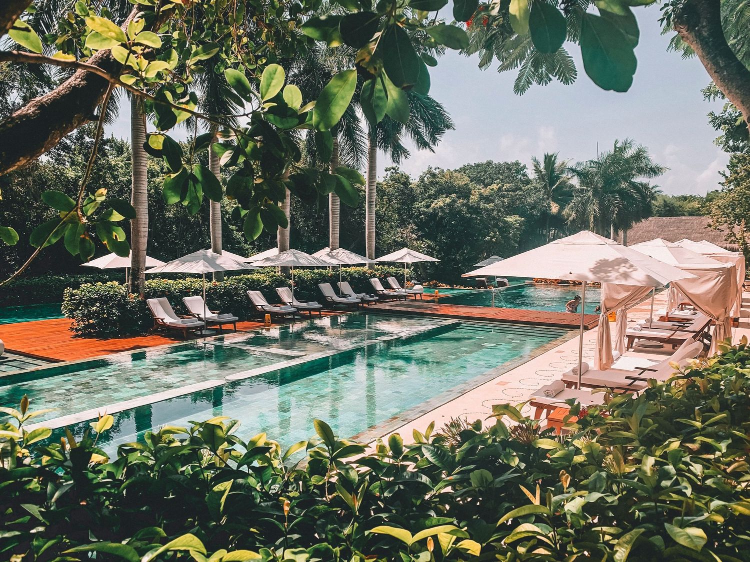 Tropical resort swimming pool surrounded by lush gardens and lounge chairs.