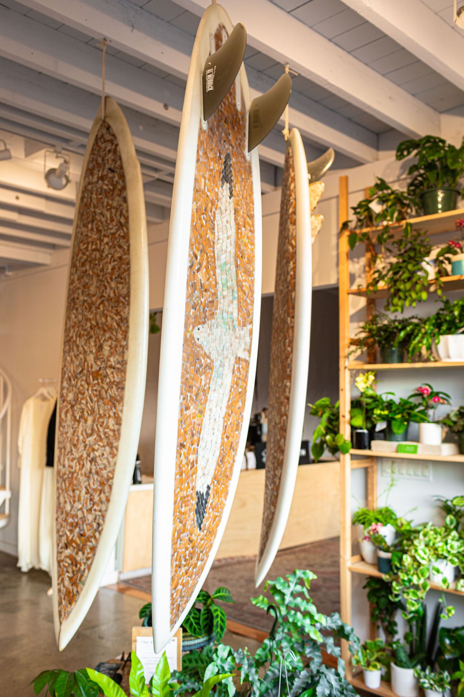 A row of surfboards leaning against white walls in a modern interior space with potted plants and natural lighting.