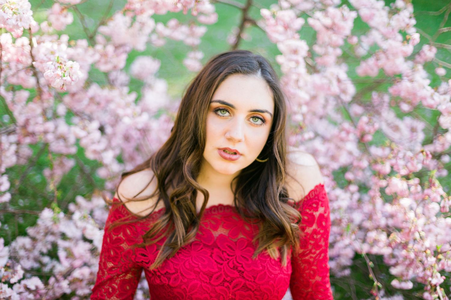 Portrait session among pink cherry blossoms wearing a bright red dress.