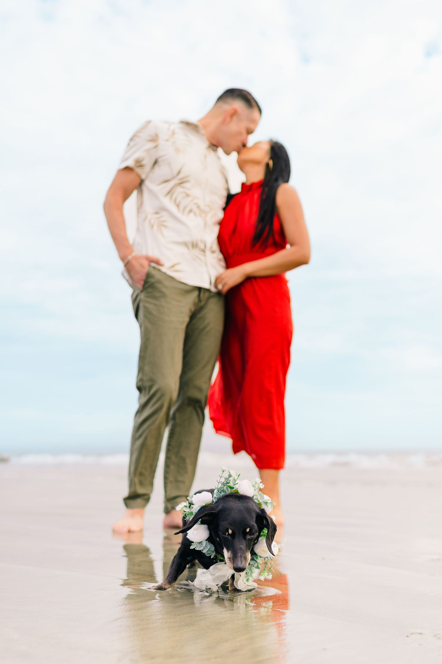 A couple embraces on a beach while their small black dog wearing a floral collar sits at their feet.