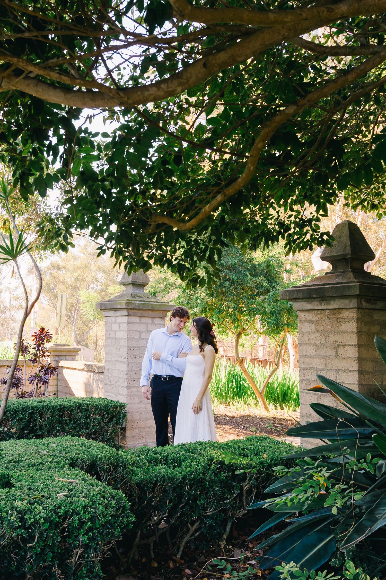 Garden pathway lined with manicured hedges and stone pillars under lush tree canopy.