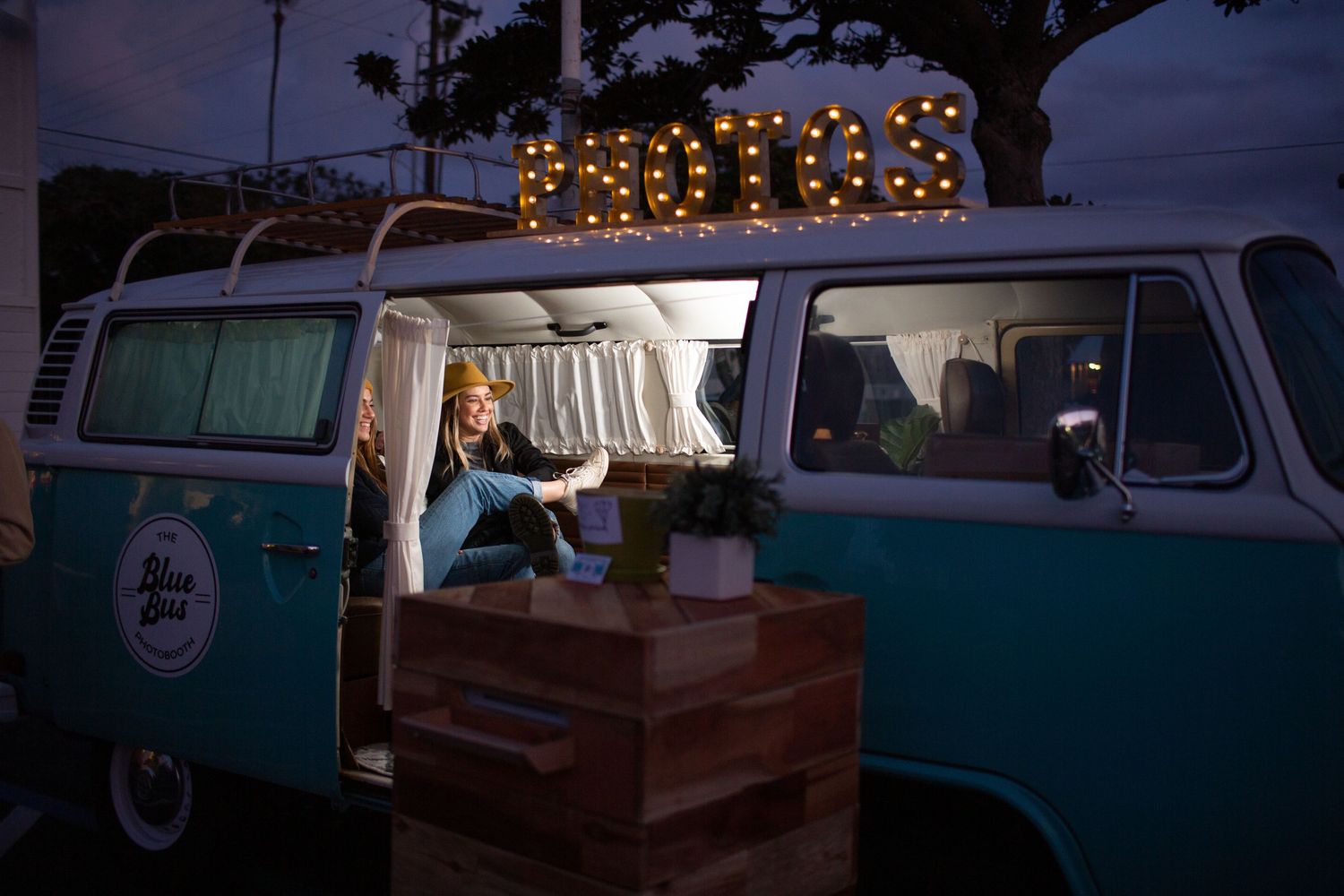 Two dogs sit in front of a turquoise and white vintage VW bus at sunset with festive string lights glowing above.