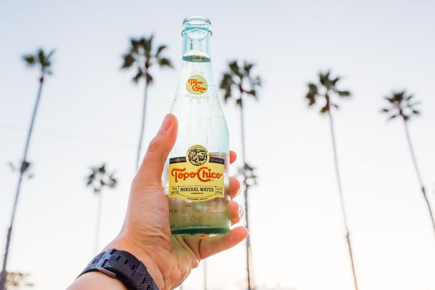 A hand holds up a glass Topo Chico bottle against a blue sky with tall palm trees in the background.