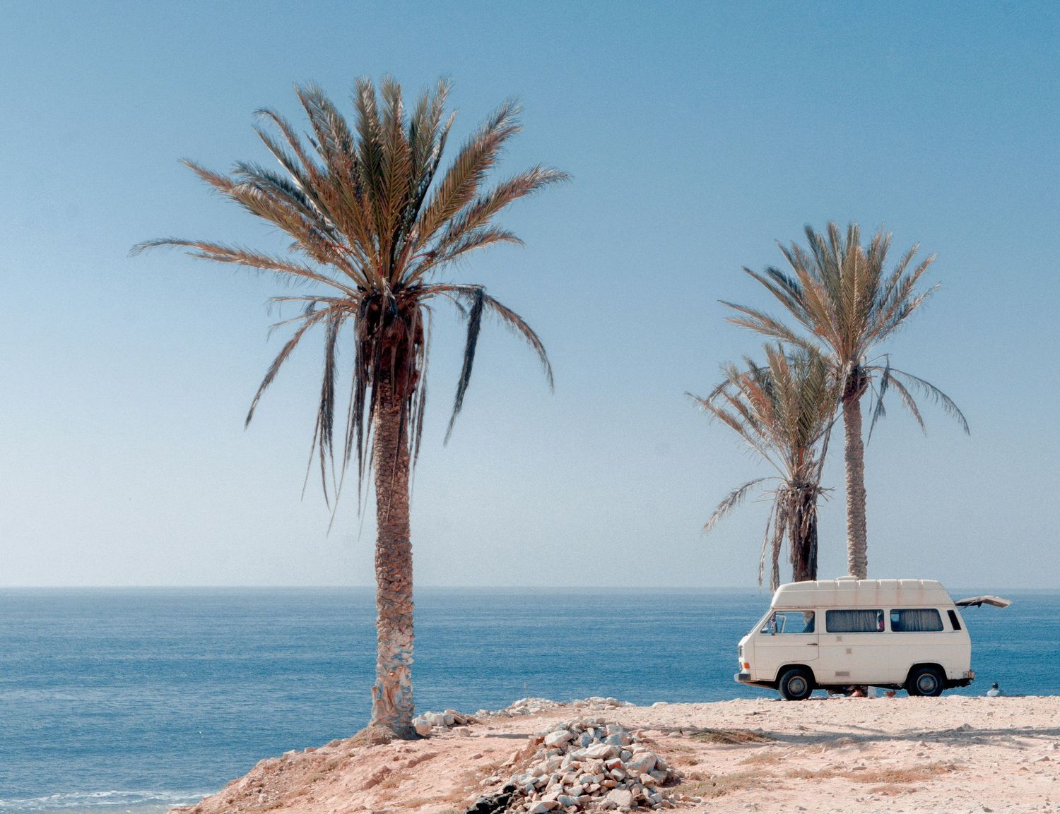 Coastal scene with palm trees and a white van parked along a rocky Mediterranean shoreline.