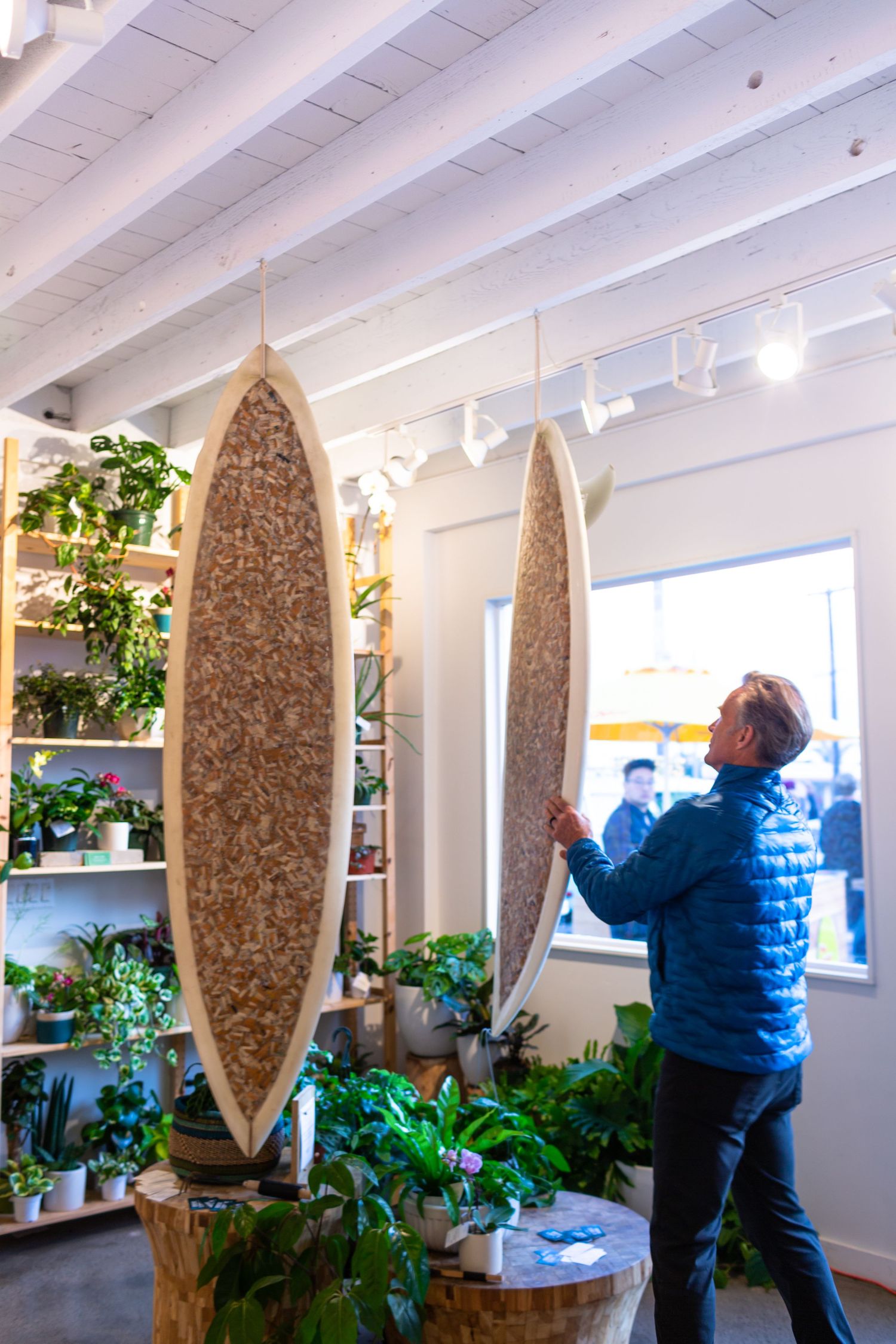 Cork surfboards mounted on white wall shelves in minimalist indoor space filled with potted plants and natural light.