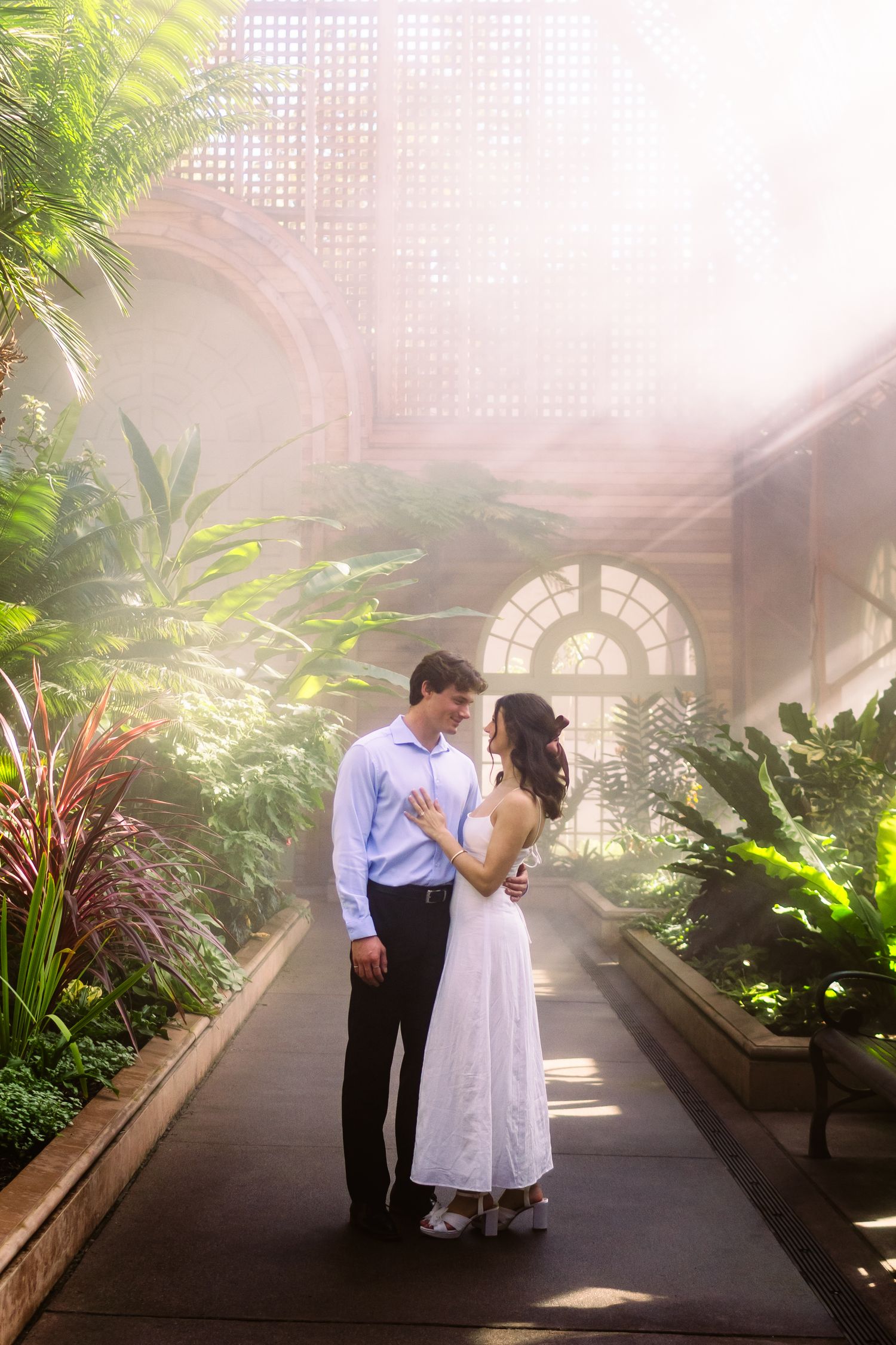A romantic couple poses in a misty greenhouse with lush tropical plants.
