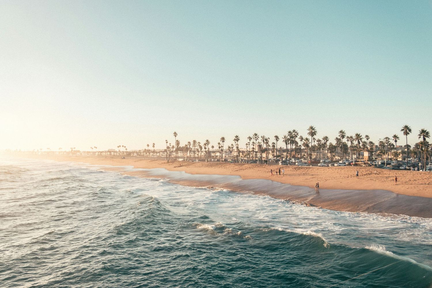 Palm tree lined beach at sunset with gentle waves rolling onto golden sand.
