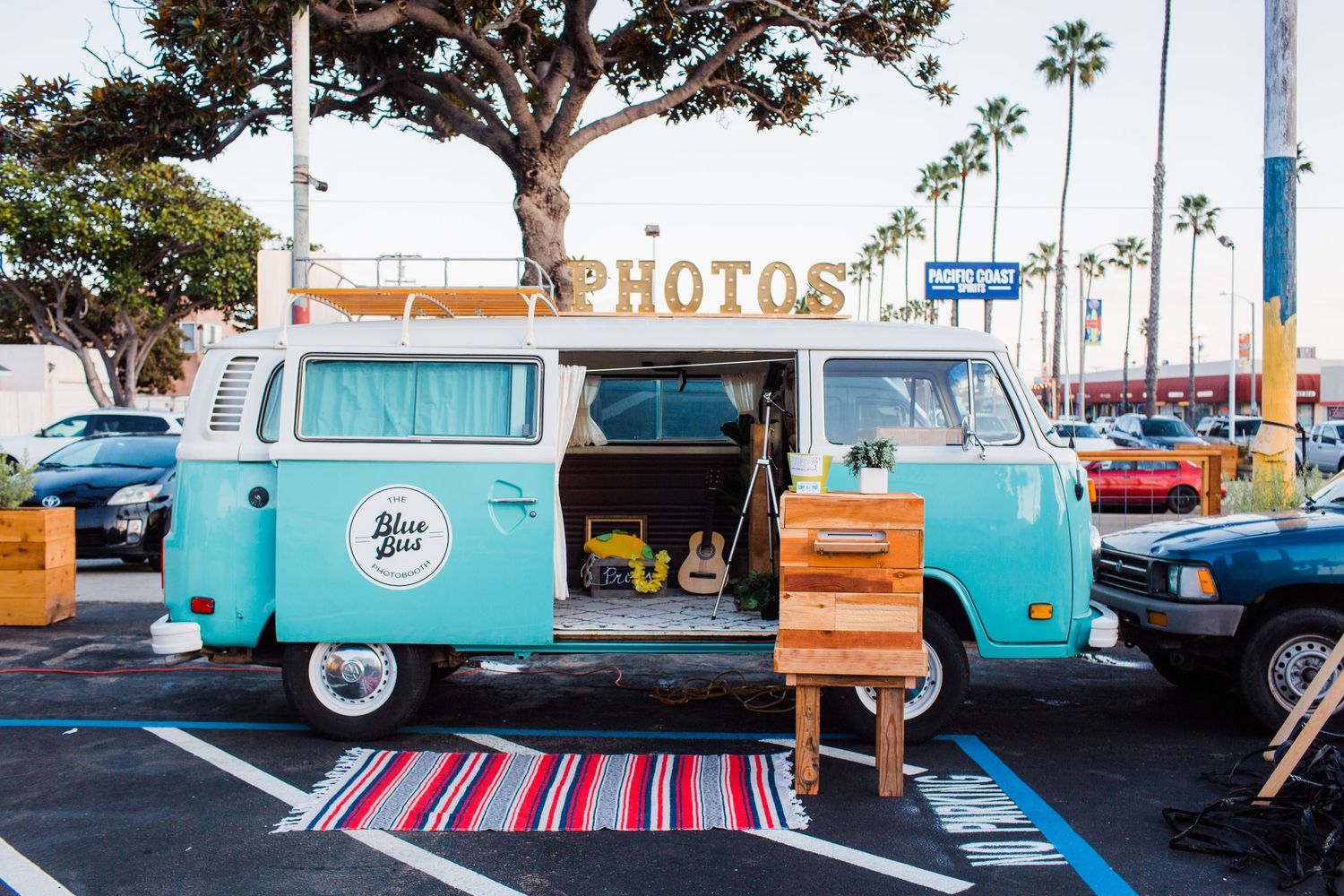A collection of vintage turquoise and white Volkswagen buses parked together with palm trees in the background.