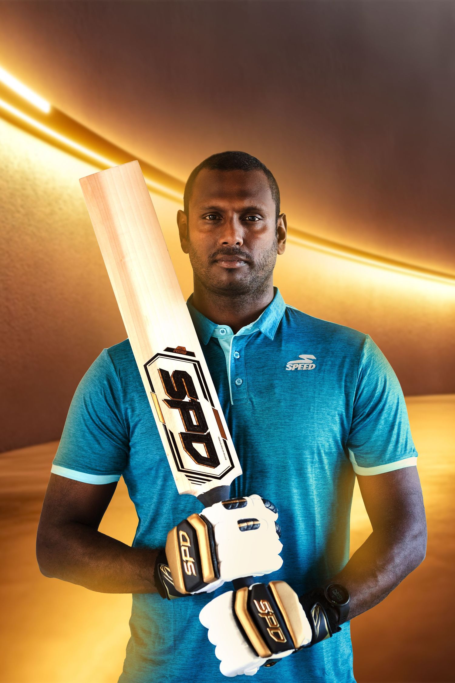 Athletic figure holding cricket bat and wearing gloves poses against warm backlit background.