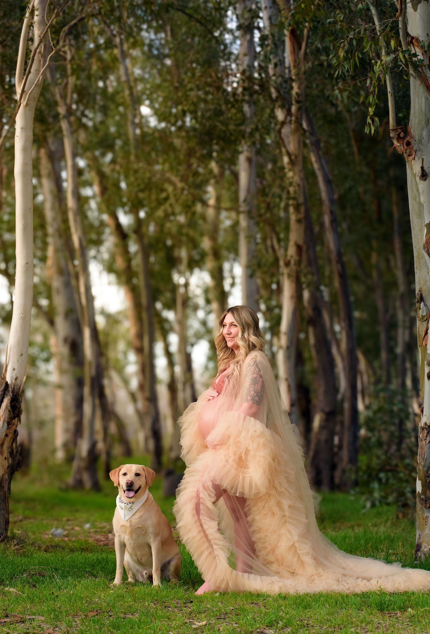 A person in a flowing peach tulle gown poses in a eucalyptus forest with a friendly yellow Labrador retriever.