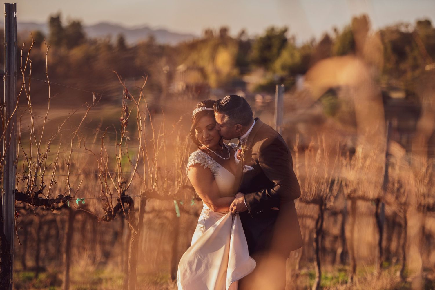 A loving couple embraces in a golden vineyard at sunset creating a romantic silhouette against the warm evening light.