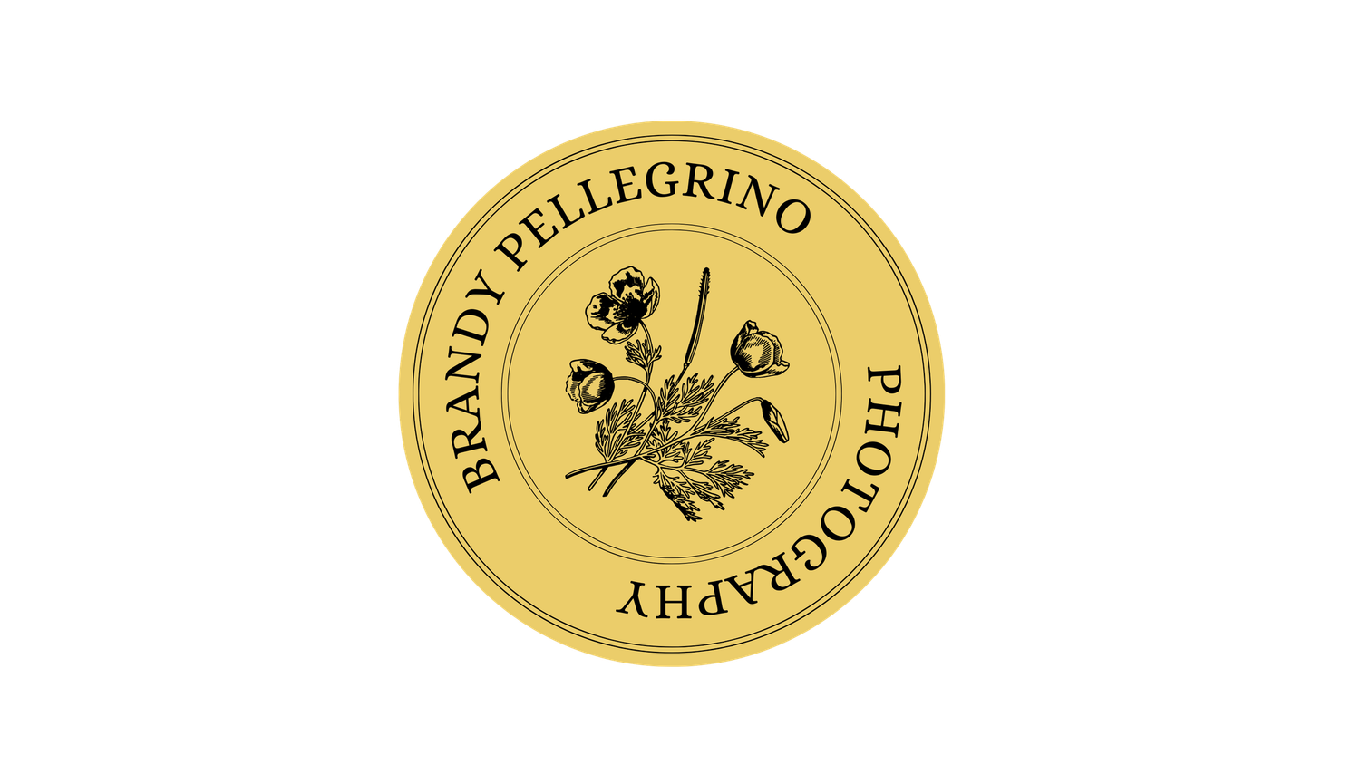 Three golden circular medallion awards with decorative designs and text arranged horizontally against a white background.