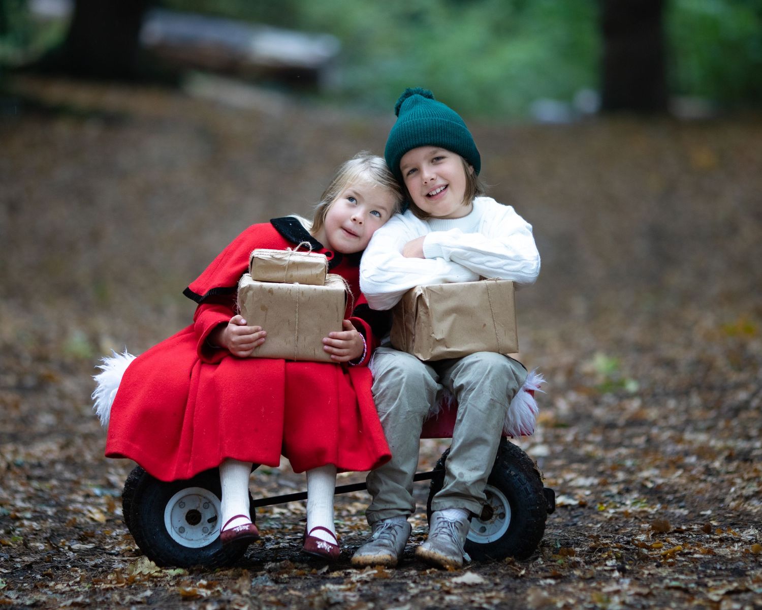 Christmas photography Christmas Minis