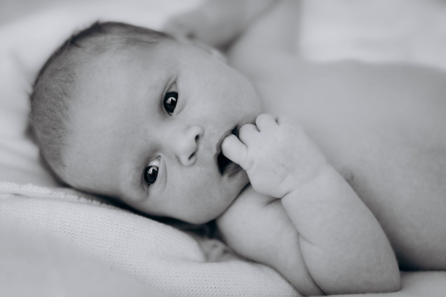 Nyfødtfotografering. En nyfødt baby ligger våken på et hvitt teppe og kikker mot kamera med fingeren i munnen. svarthvittbilde.