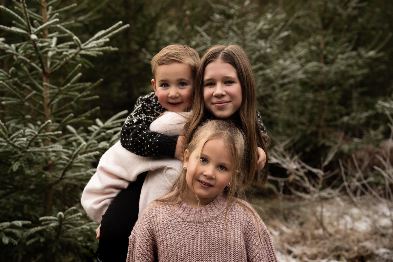 Familiefotografering i vinterlandskap – Naturlige øyeblikk blant eviggrønne trær og lune vintergensere.