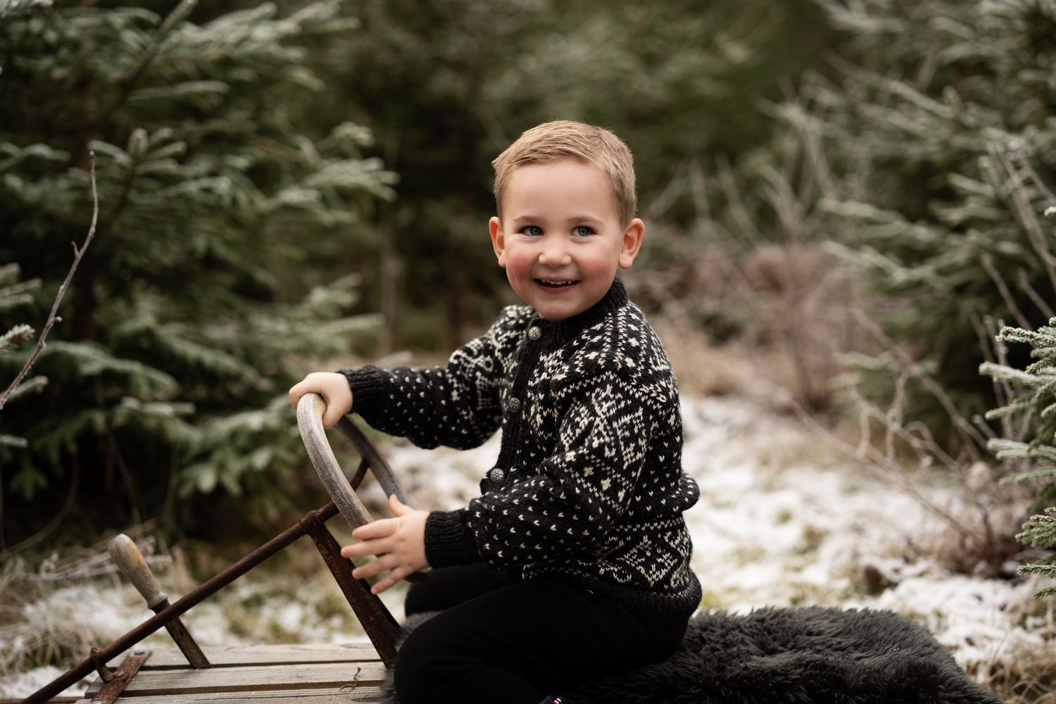 Barnefotografering av et barn i svart mønstret genser som sitter på en rustikk treslede med furuskog i bakgrunnen.