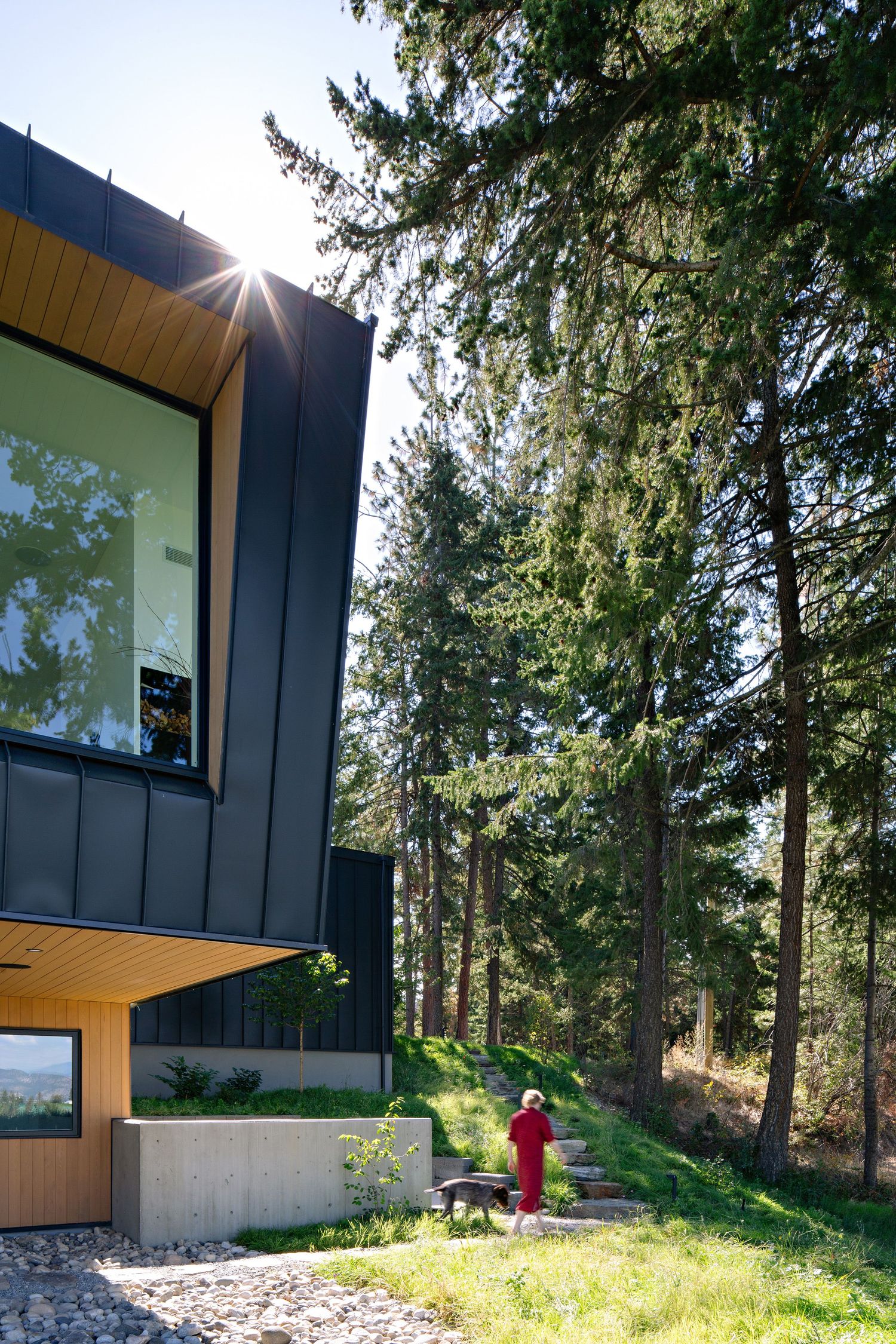 Modern black and wood architectural home with large windows nestled among tall evergreen trees on a sunny day.
