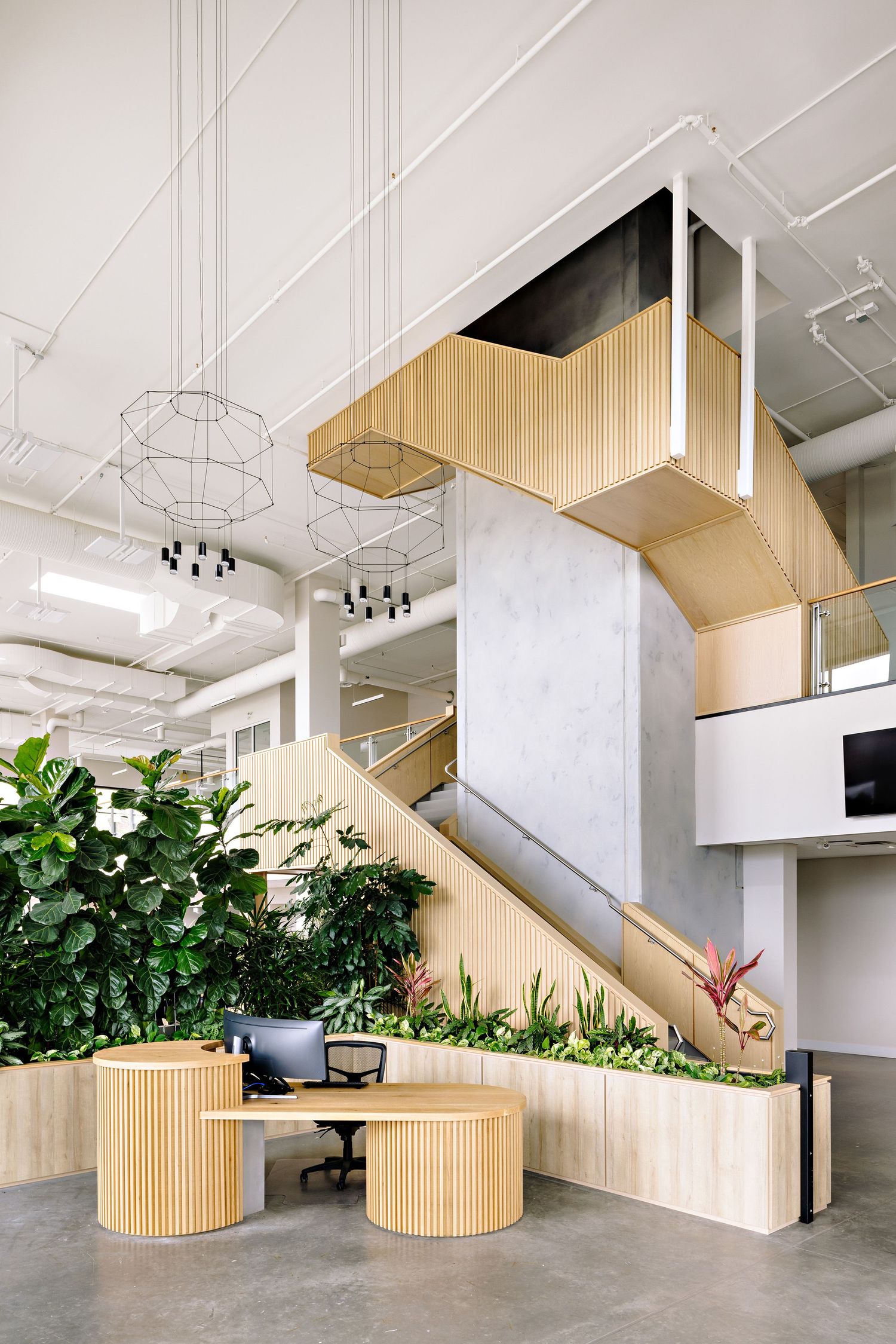 Modern office interior featuring curved wooden staircase, concrete floors, and biophilic design with lush indoor plants.