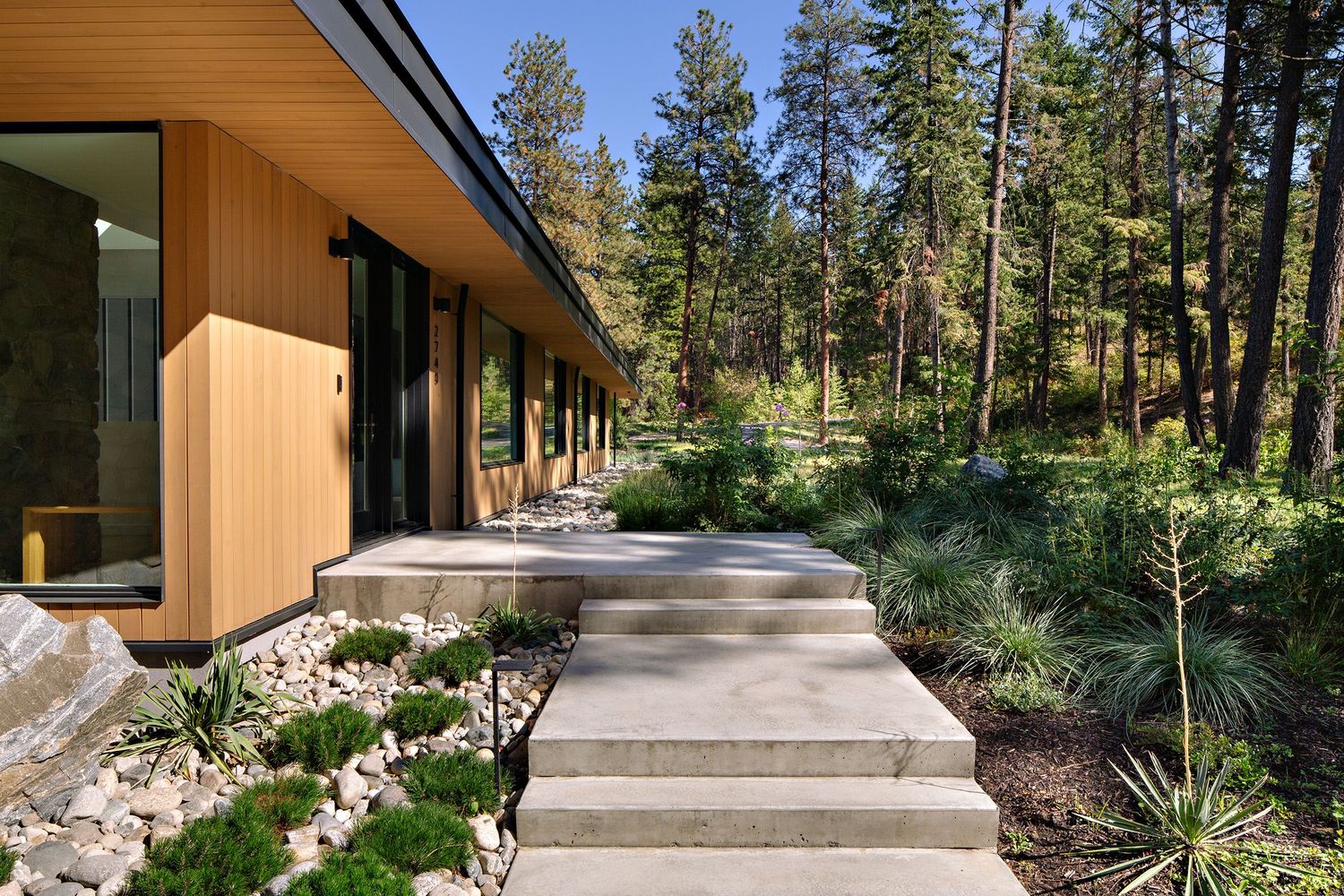 Modern wooden home exterior with concrete steps and native landscaping in a peaceful forest setting.