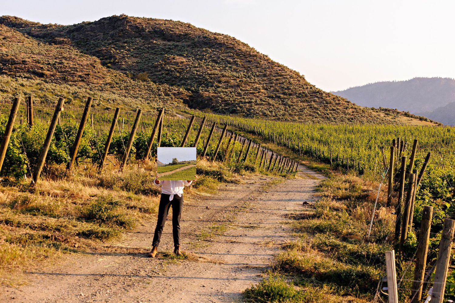 A person stands on a winding dirt path between wooden fence posts with mountains and golden sunlight in the background.