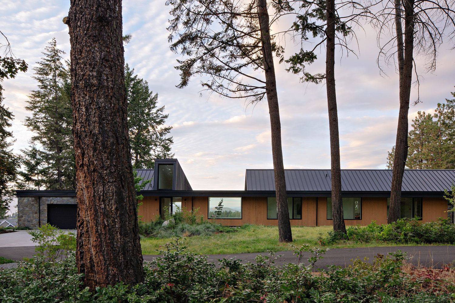 Modern ranch-style house with wood siding and metal roof nestled among tall pine trees at dusk.