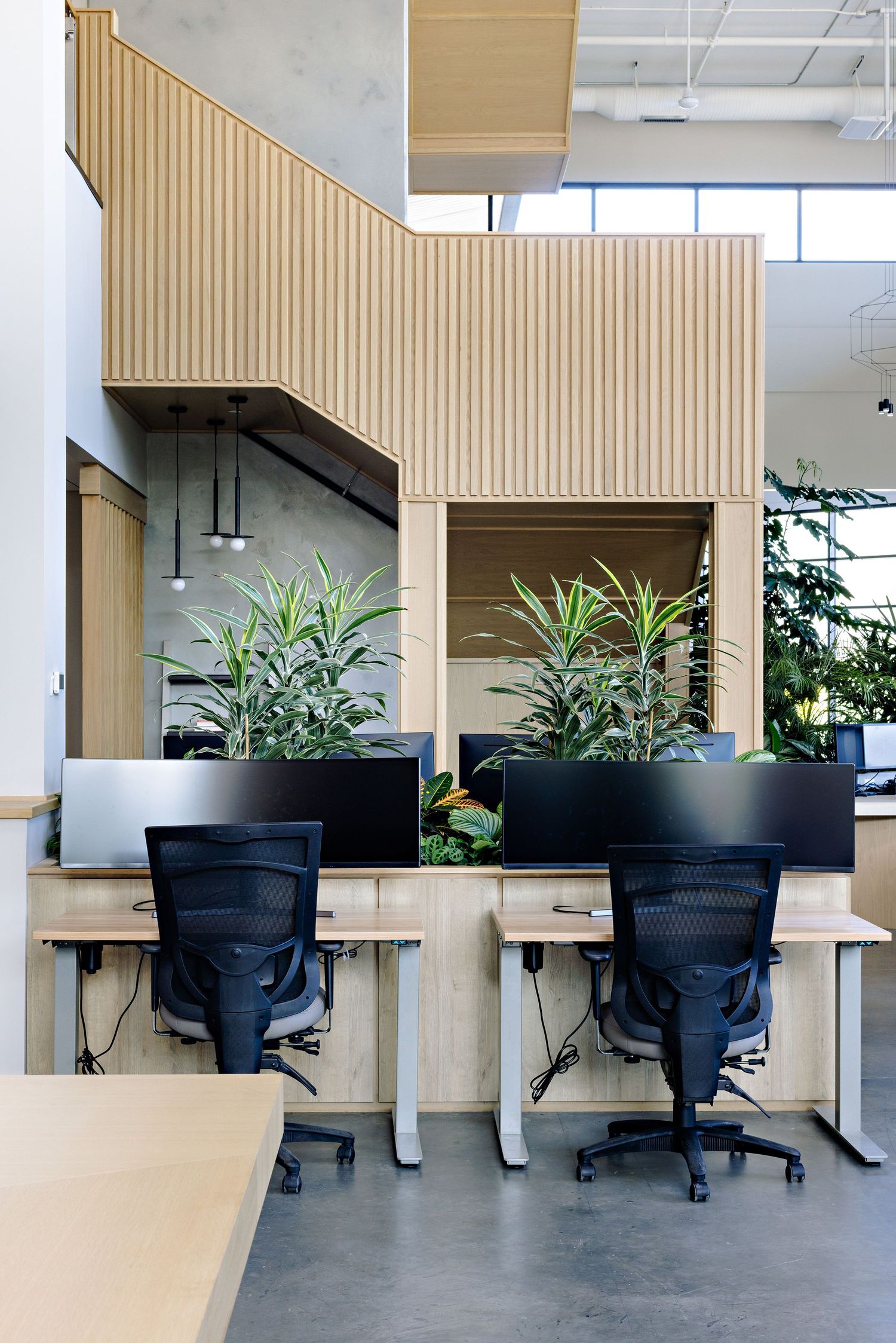 Modern office workstations with black chairs, wooden desks, and decorative planters against a ribbed wall design.