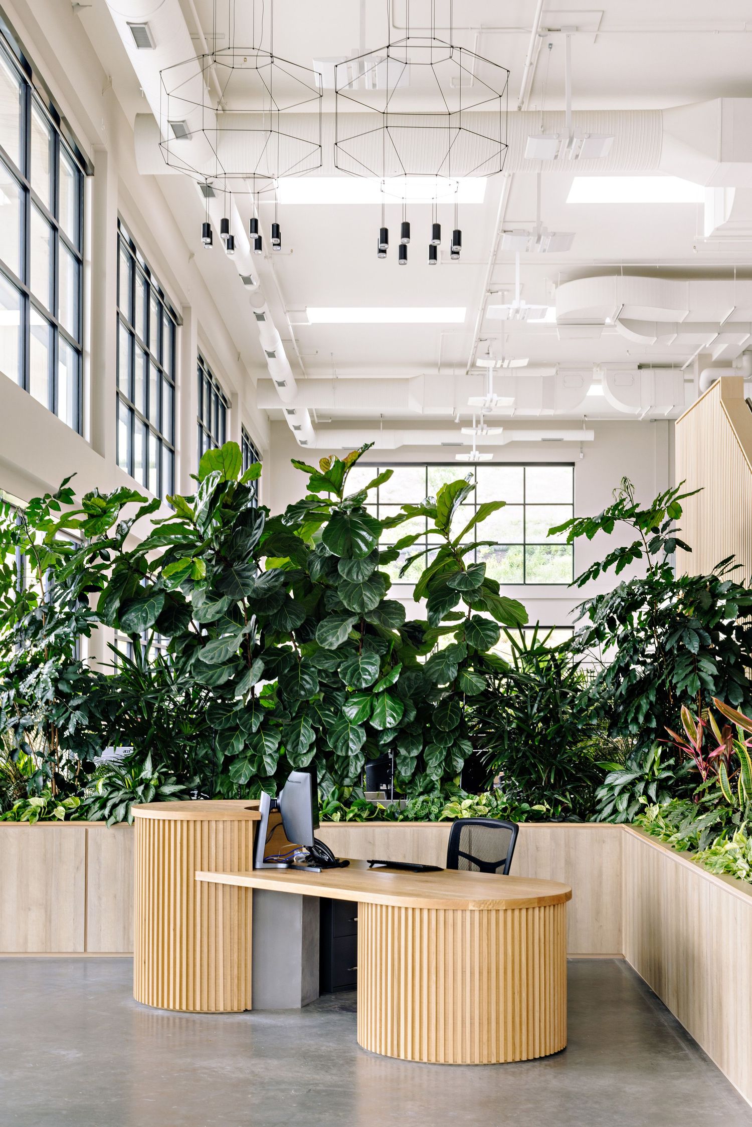 Modern office reception desk surrounded by lush indoor plants and natural light from large windows.