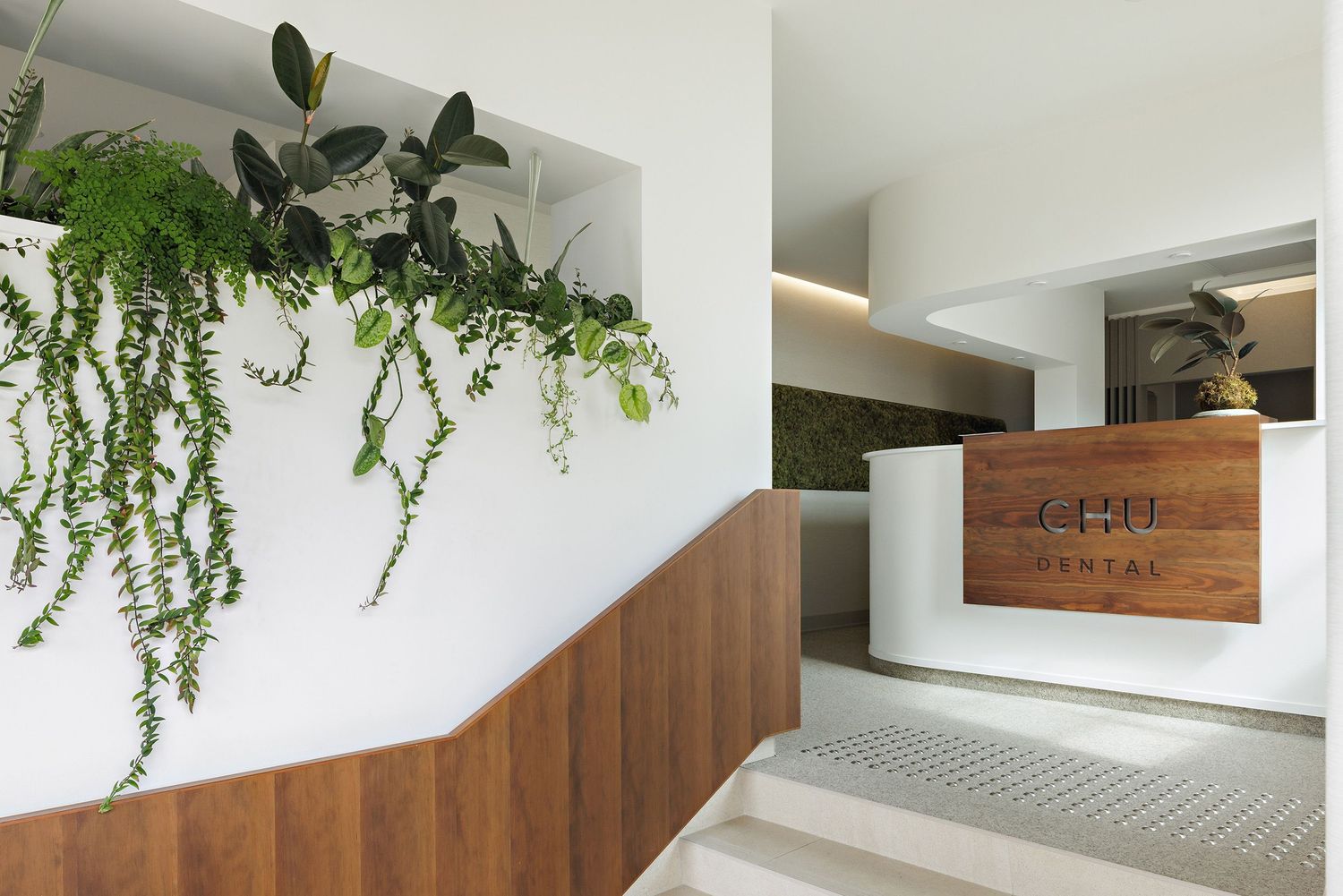 Modern white kitchen interior with wooden cabinets and hanging plants creating a natural, minimalist aesthetic.