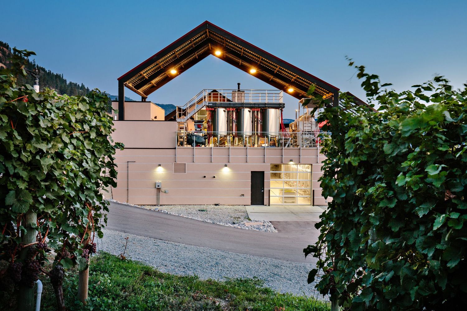 Modern rustic winery building with glass facade and string lights at dusk surrounded by grapevines.