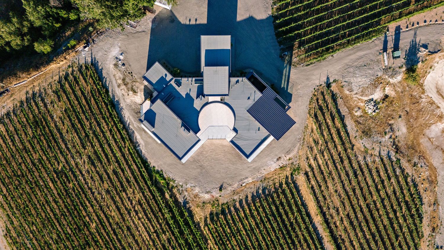 Aerial view of a modern blue-roofed building surrounded by neat rows of vineyard grapevines.