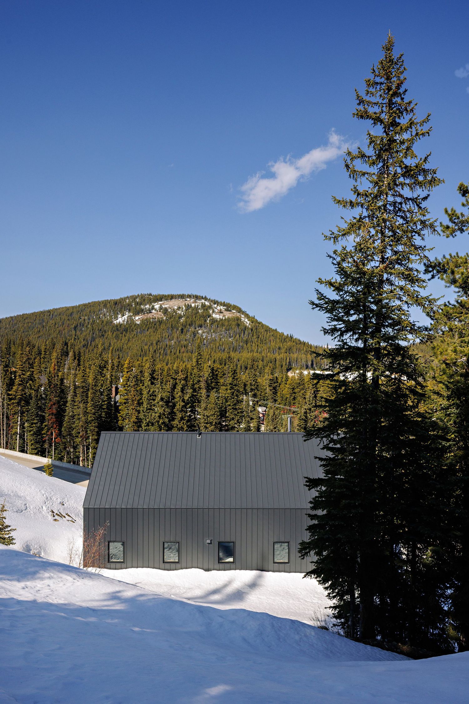 Contemporary gray metal-roofed cabin sits against snowy mountain backdrop with evergreen forest and bright blue sky.