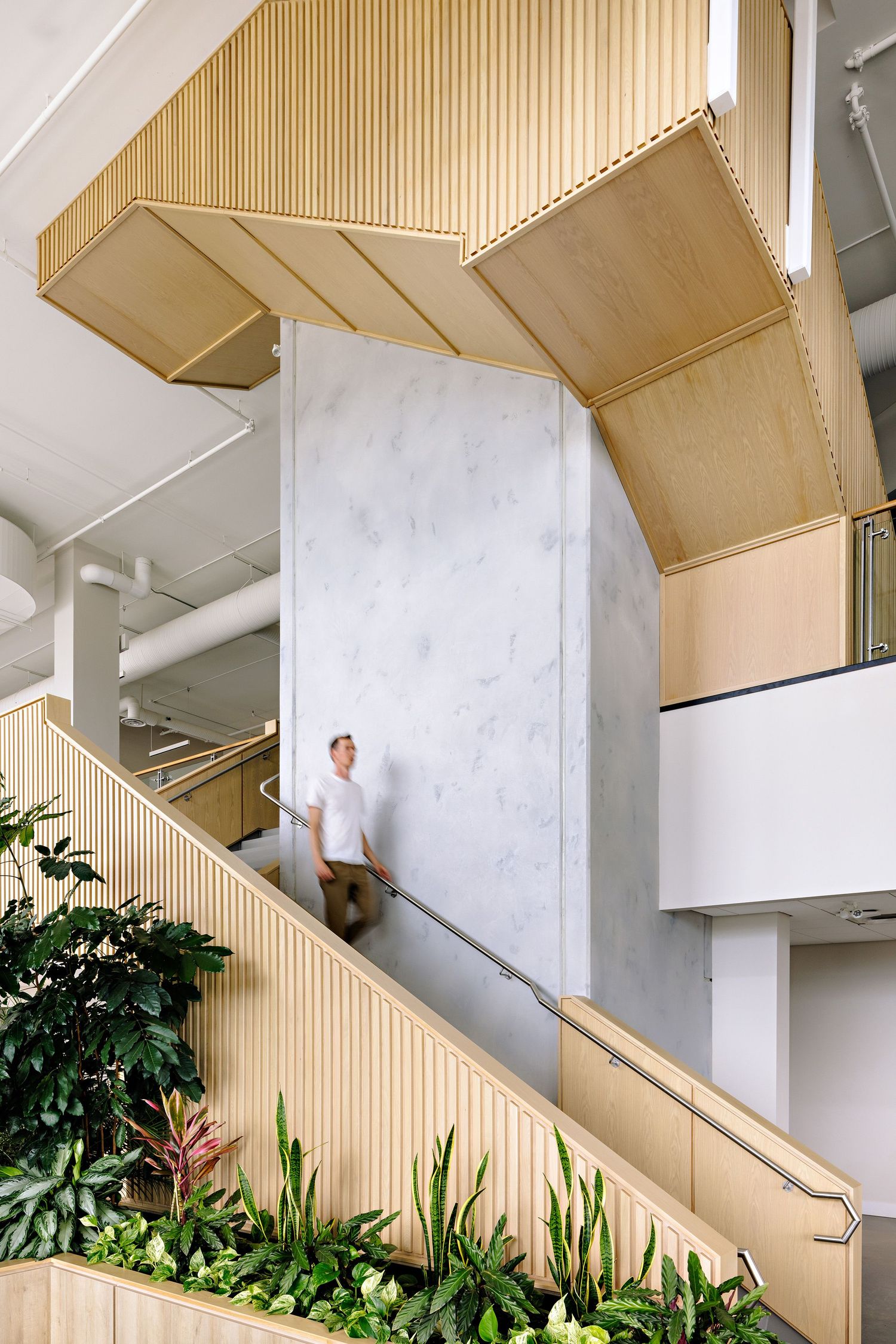 Modern interior architecture features wood-paneled staircase with lush indoor plants and geometric ceiling details in beige and white.