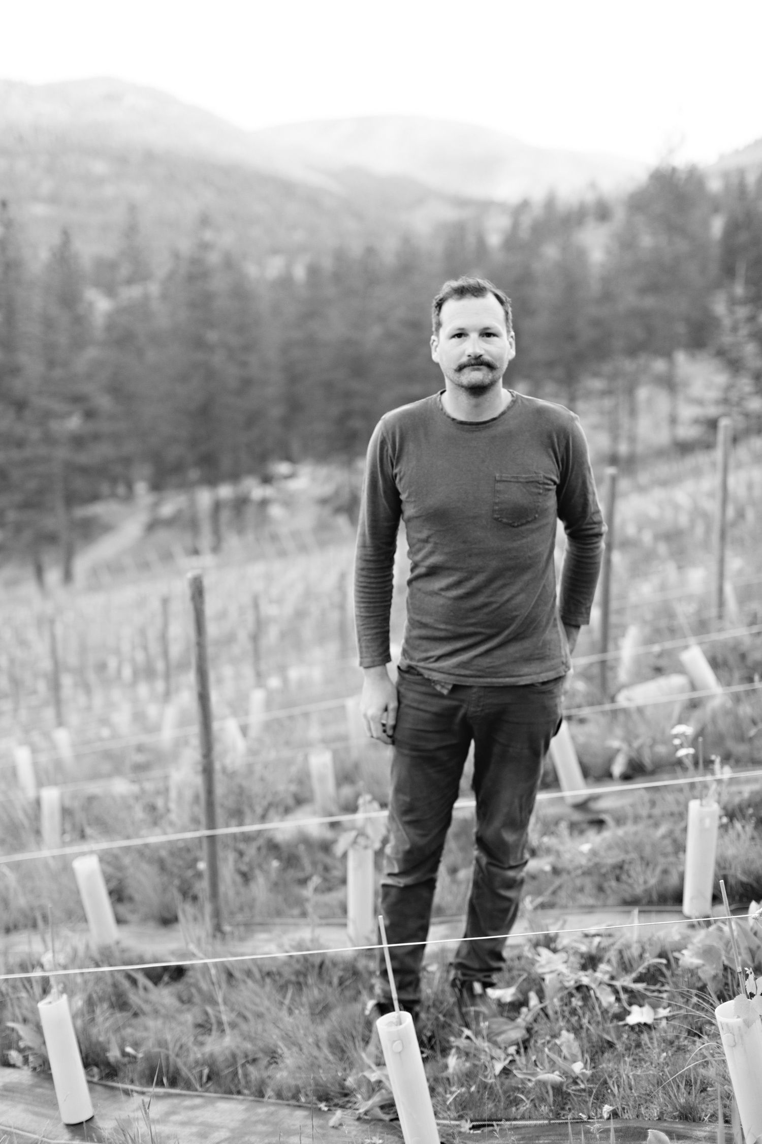 Black and white photo of person standing on hillside surrounded by young vineyard plants and mountains in background.