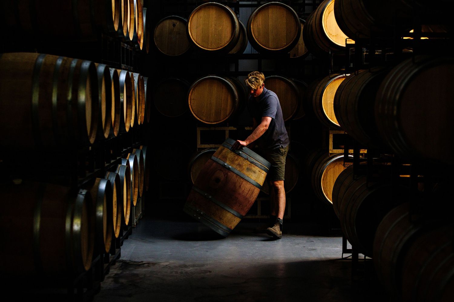 A cellar worker rolls a wooden barrel through a dark wine cellar with rows of oak barrels stacked along the walls.