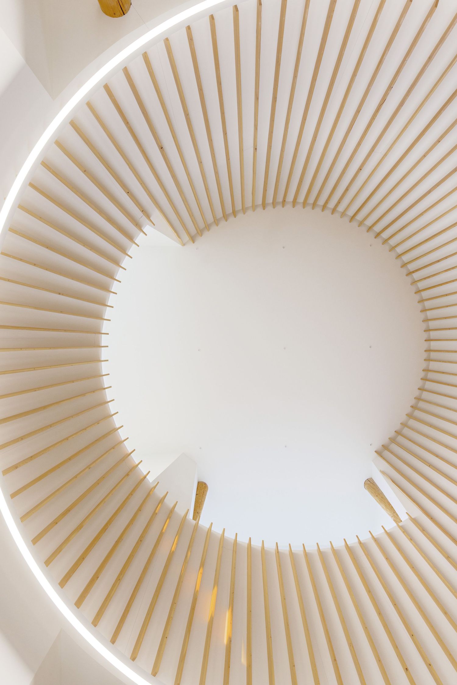Modern architectural detail of a circular ceiling with radiating white slats creating a spiral pattern around a central light fixture.