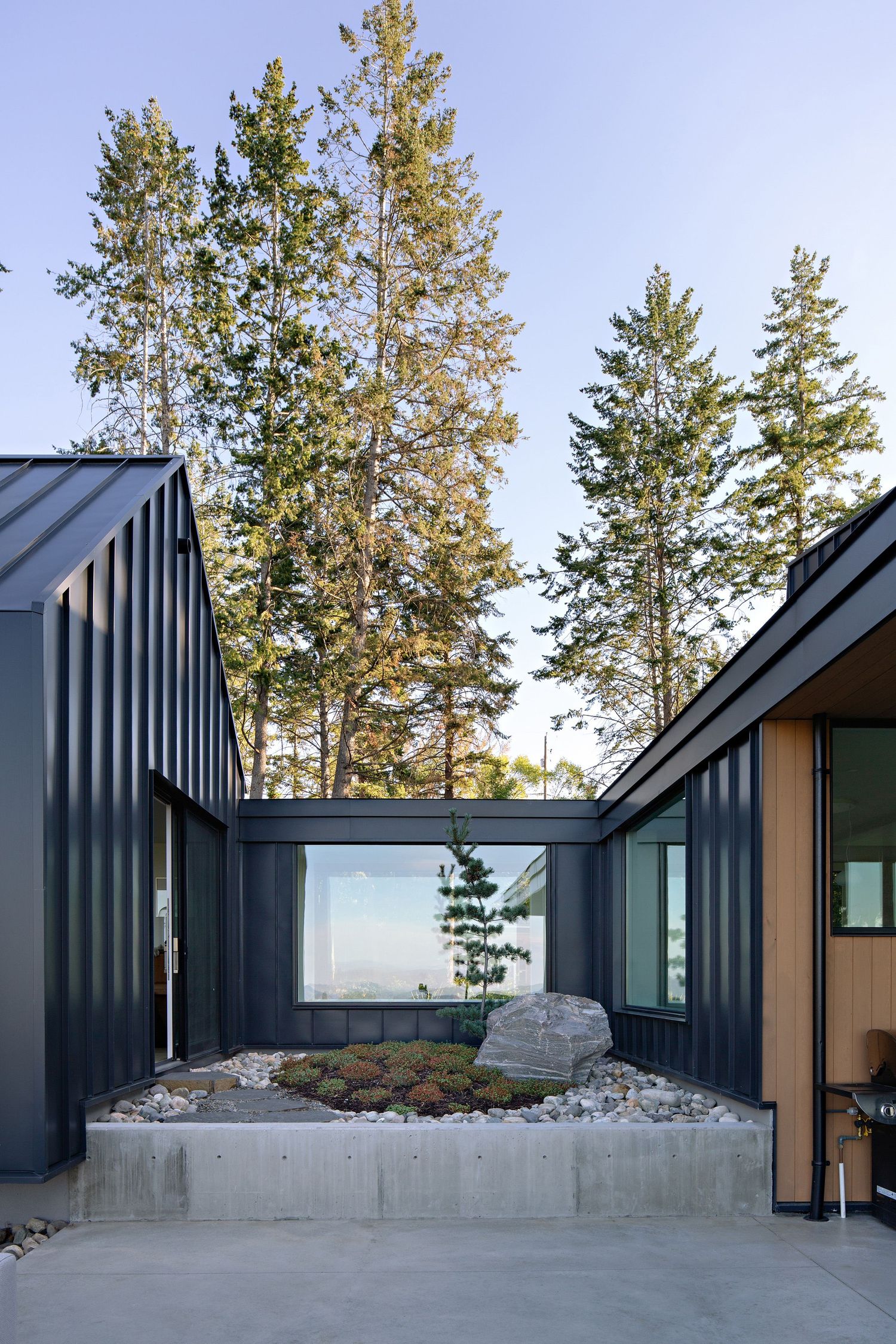 Modern dark-colored house with a concrete courtyard featuring a rock garden and tall pine trees in the background.