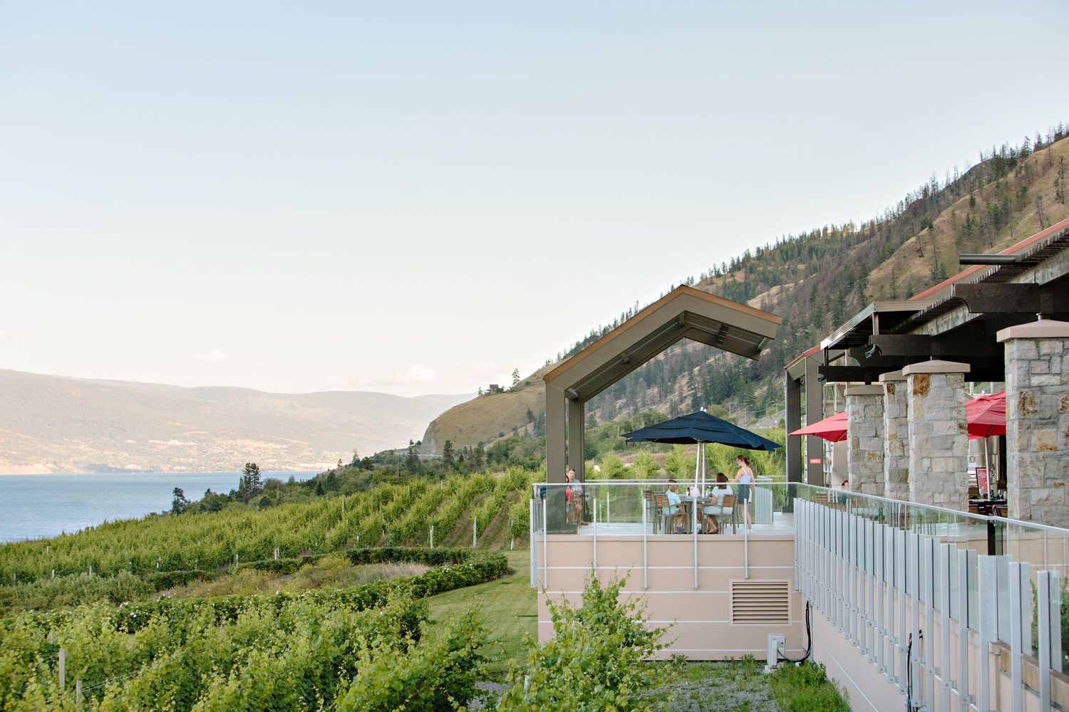 Scenic winery patio overlooking mountain vineyard landscape.