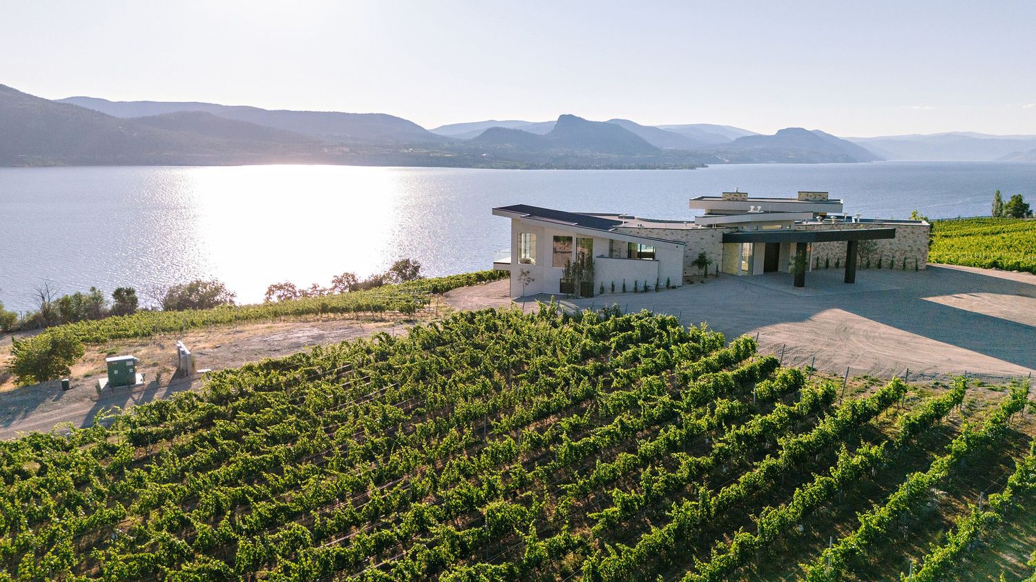 Panoramic view of rolling hills with vineyard rows stretching across the landscape under a bright sky.