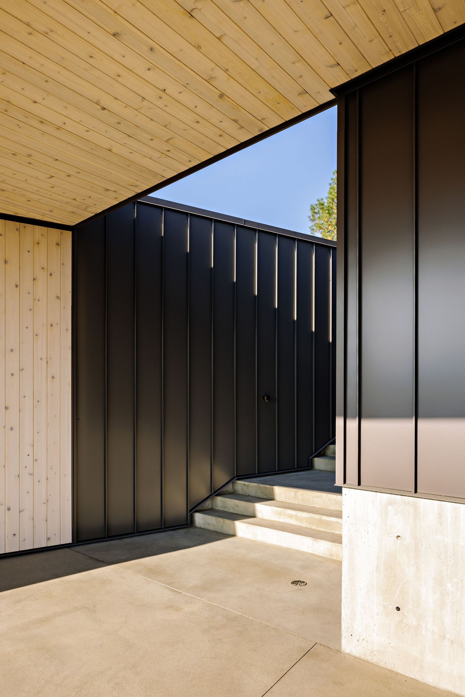 Modern architectural detail showing contrast between light wood ceiling, black metal siding, and concrete steps in an entryway.